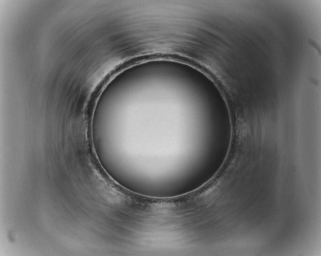 X0000099401118200805151659