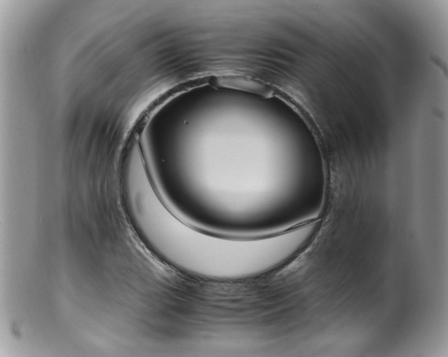 X0000099401119200805151659