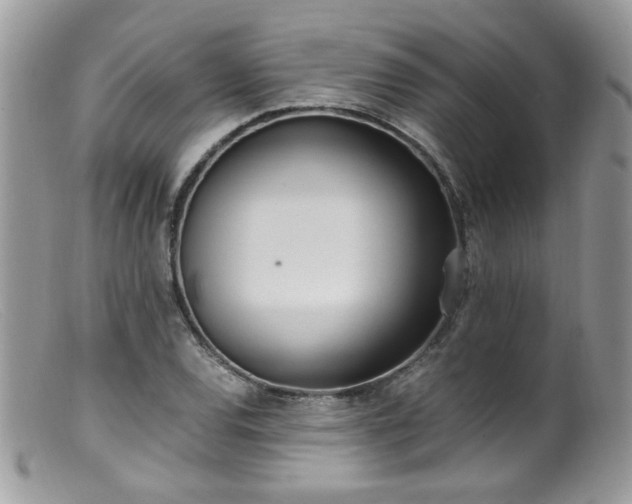 X0000099401120200805151659