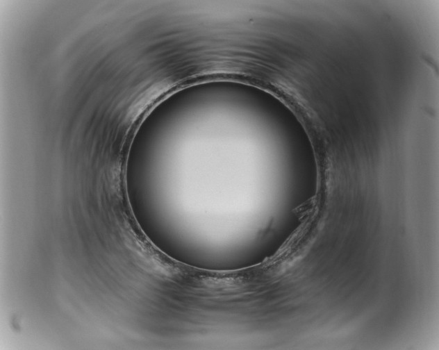X0000099401121200805151659