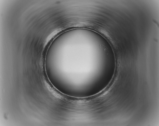 X0000099401122200805151659