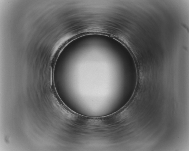 X0000099401123200805151659