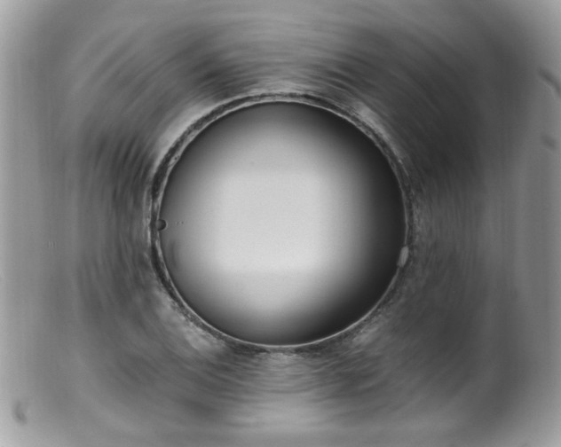 X0000099401124200805151659