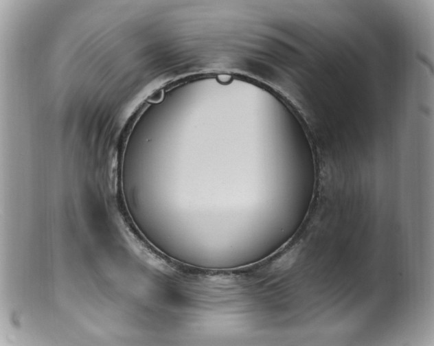 X0000099401126200805151659