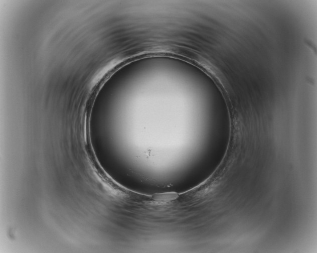 X0000099401127200805151659