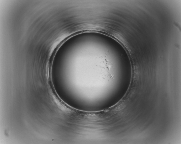 X0000099401128200805151659