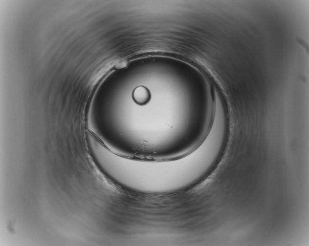 X0000099401129200805151659