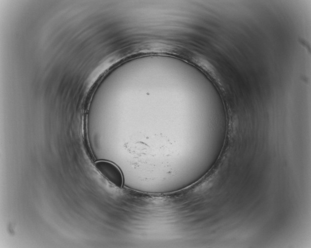 X0000099401130200805151659