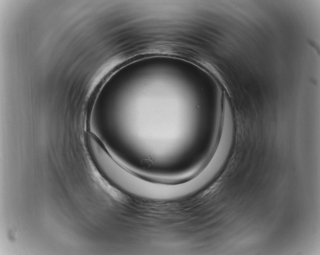 X0000099401131200805151659