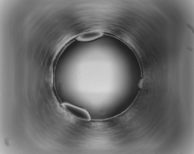 X0000099401132200805151659