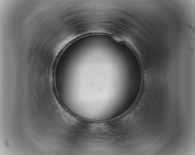 X0000099401133200805151659