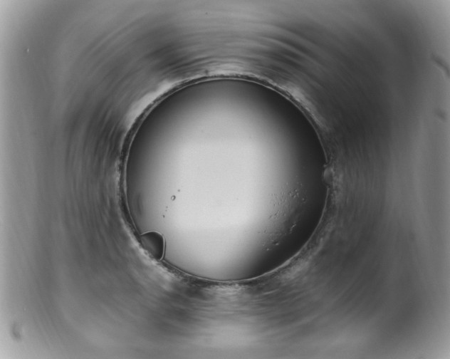 X0000099401134200805151659