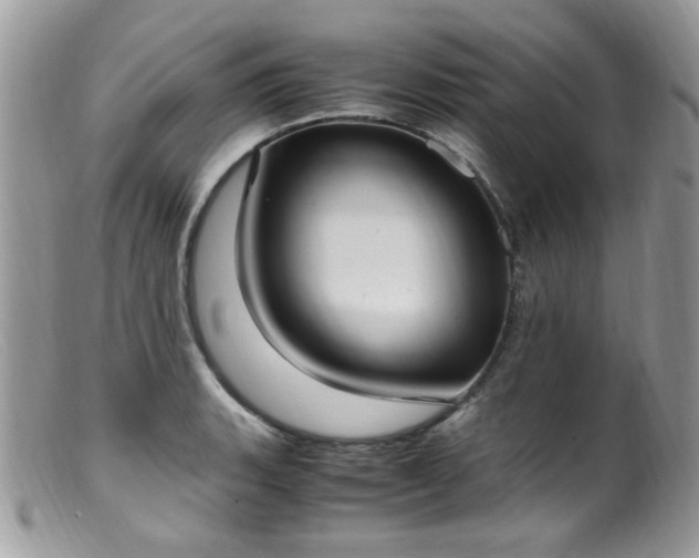 X0000099401135200805151659