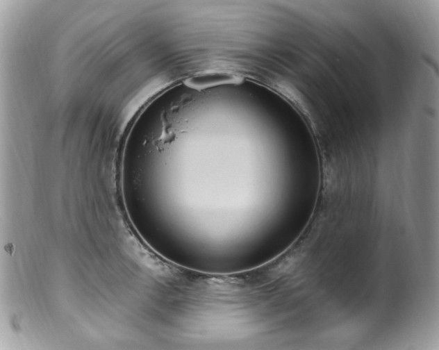 X0000099401138200805151659