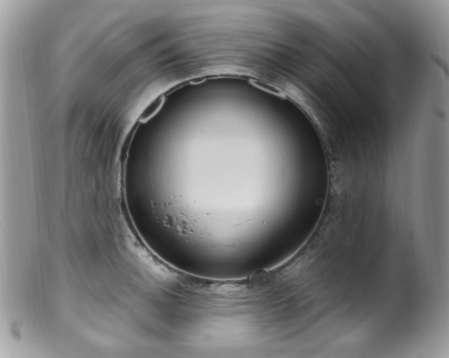 X0000099401140200805151659