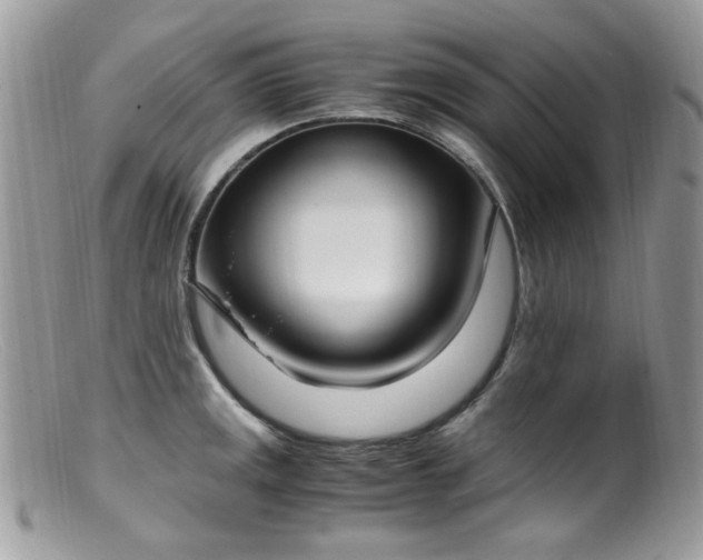 X0000099401141200805151659