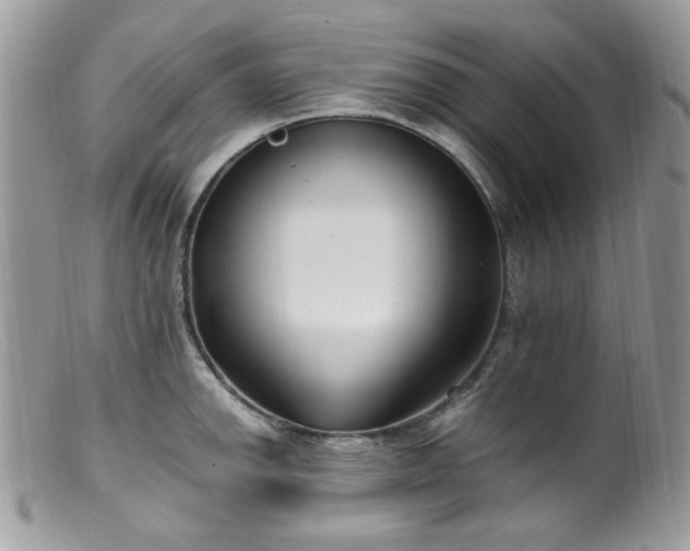 X0000099401142200805151659