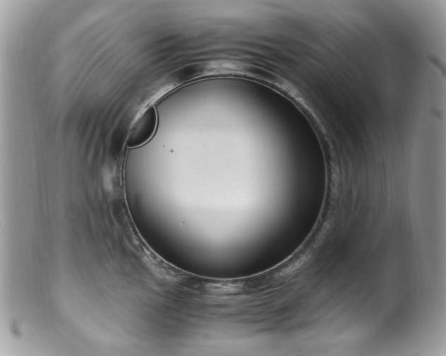 X0000099401145200805151659