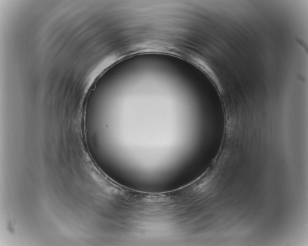 X0000099401146200805151659