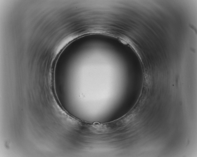 X0000099401147200805151659