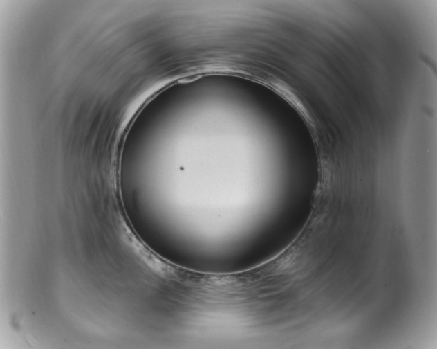 X0000099401148200805151659