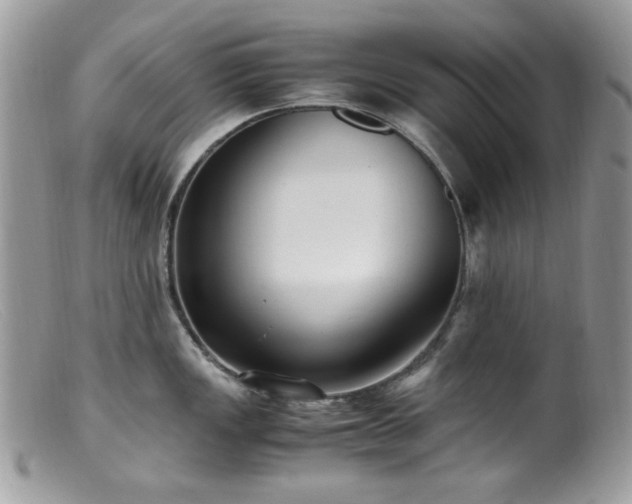 X0000099401149200805151659