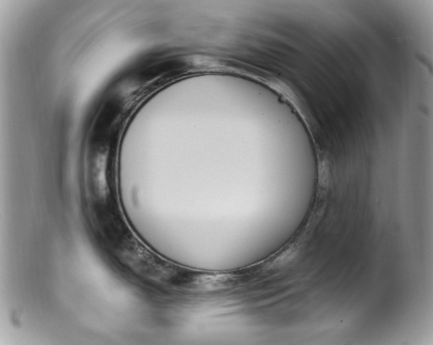 X0000099401150200805151659