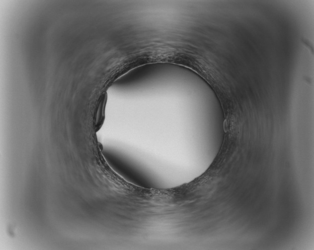 X0000099401153200805151659