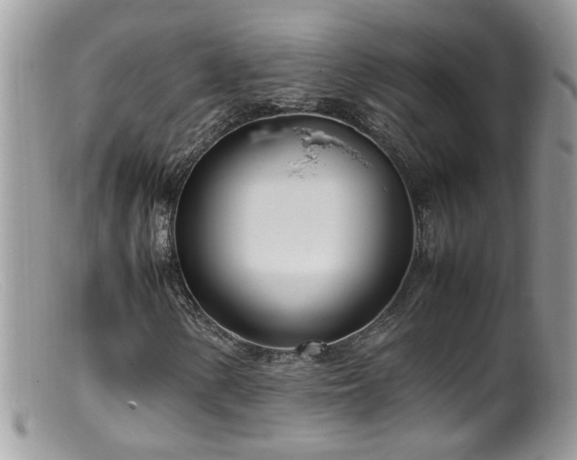 X0000099401154200805151659