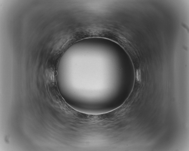 X0000099401155200805151659