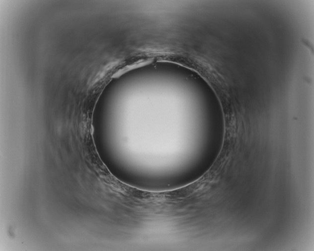 X0000099401157200805151659