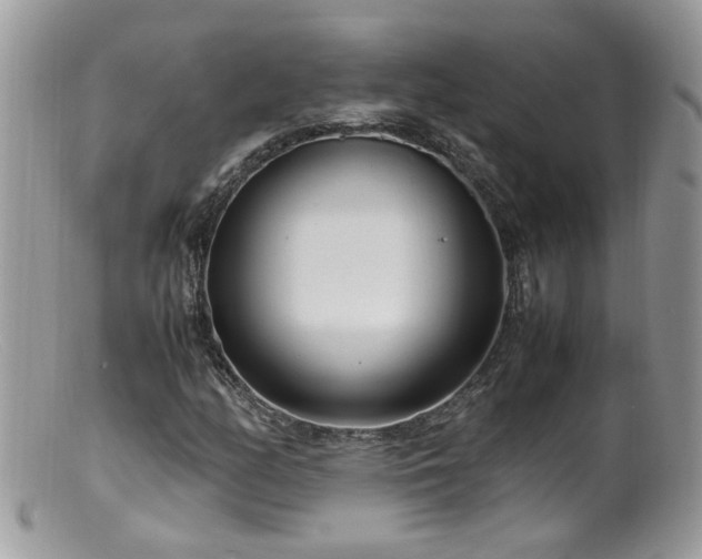 X0000099401158200805151659