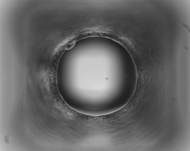 X0000099401159200805151659