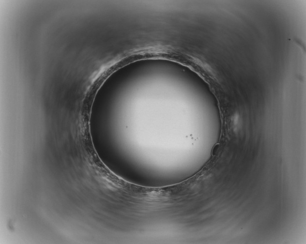 X0000099401160200805151659