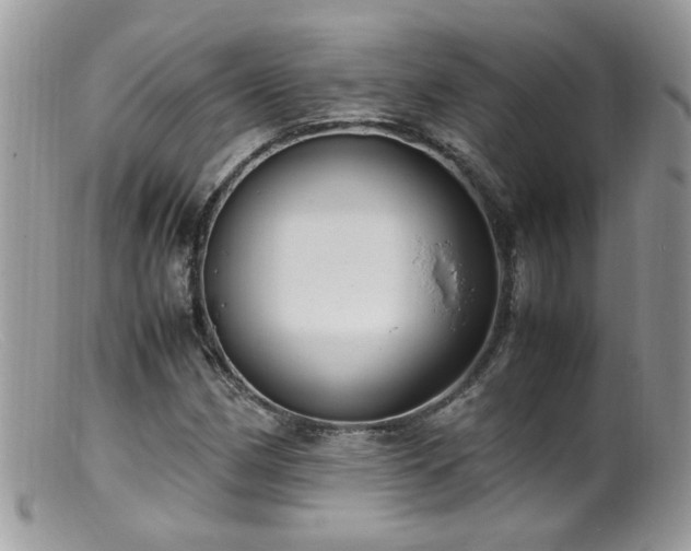 X0000099401162200805151659