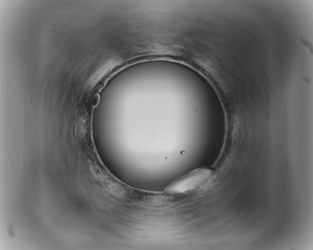 X0000099401163200805151659