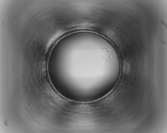 X0000099401164200805151659