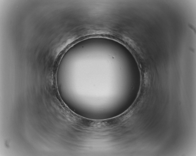 X0000099401165200805151659