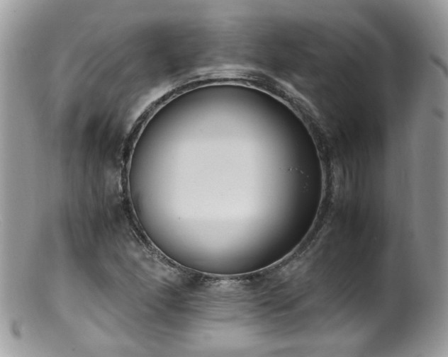 X0000099401166200805151659