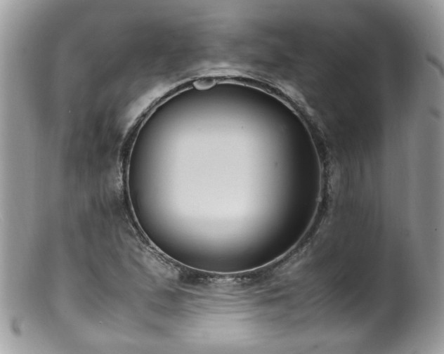 X0000099401167200805151659