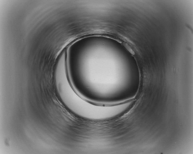 X0000099401170200805151659