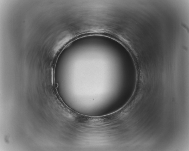 X0000099401171200805151659