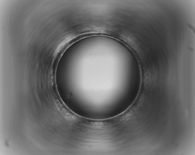 X0000099401172200805151658