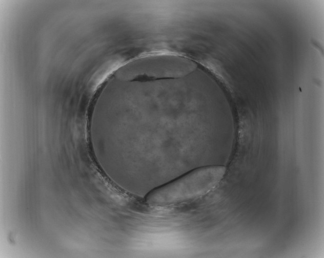 X0000099401173200805151658