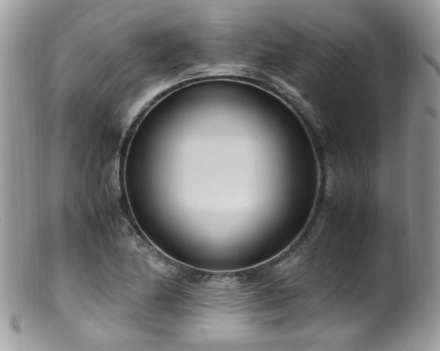 X0000099401174200805151658