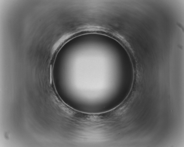 X0000099401175200805151658