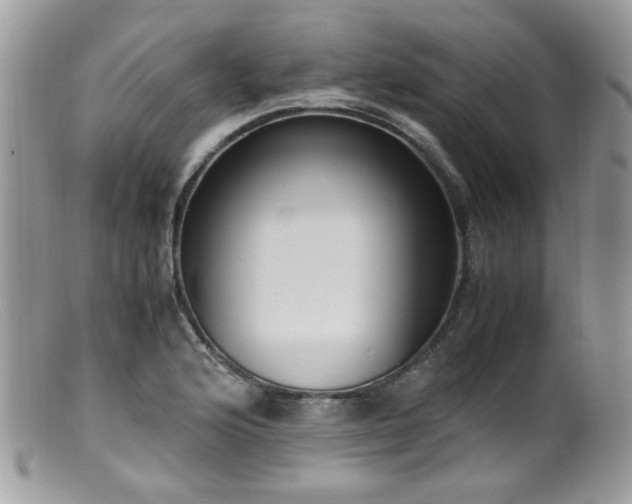 X0000099401176200805151658