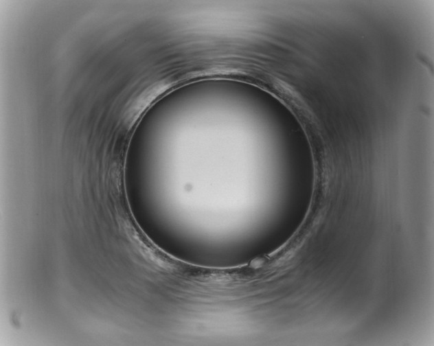 X0000099401177200805151658