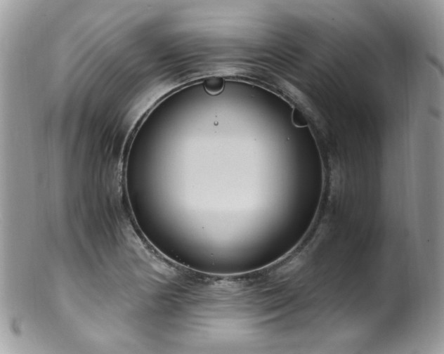 X0000099401178200805151658