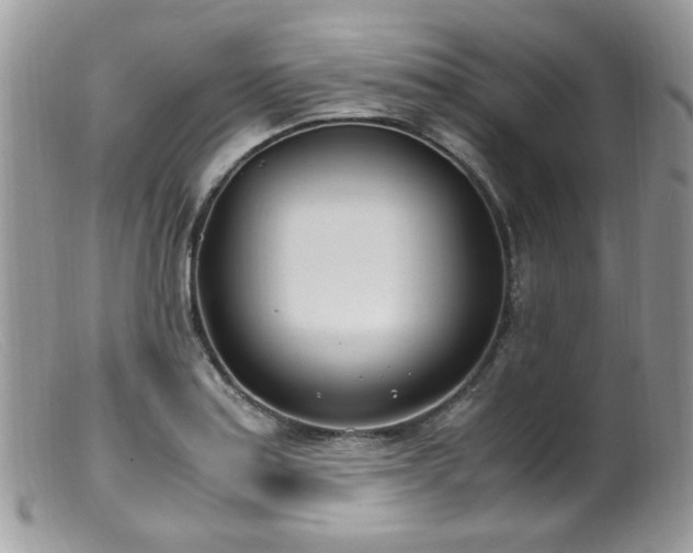 X0000099401179200805151658